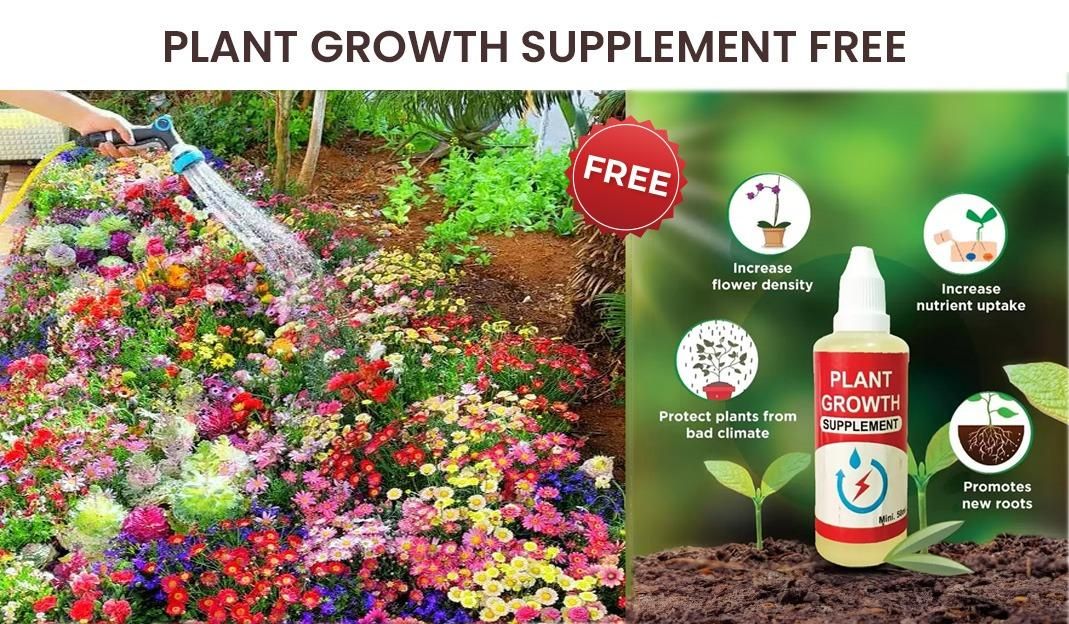 Variety of Flower Seeds (Pack of 100) And Get Plant Growth Supplement Free