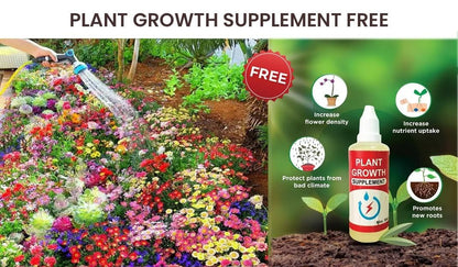 Variety of Flower Seeds (Pack of 100) And Get Plant Growth Supplement Free