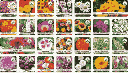 Variety of Flower Seeds (Pack of 100) And Get Plant Growth Supplement Free